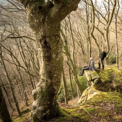 Two people are standing and sitting on a moss-covered rock in a bare forest. The trees are tall and dense, without leaves., © Eifel Tourismus GmbH, D. Ketz