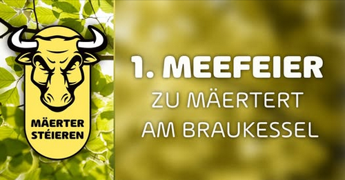 Ein farbenfrohes Banner, das auf die erste Meeferien-Veranstaltung in Märtert am Braukessel hinweist. Das Design zeigt einen stilisierten Stierkopf und grüne Blätter im Hintergrund.