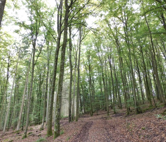 Moehn, © Nicole Zimmer