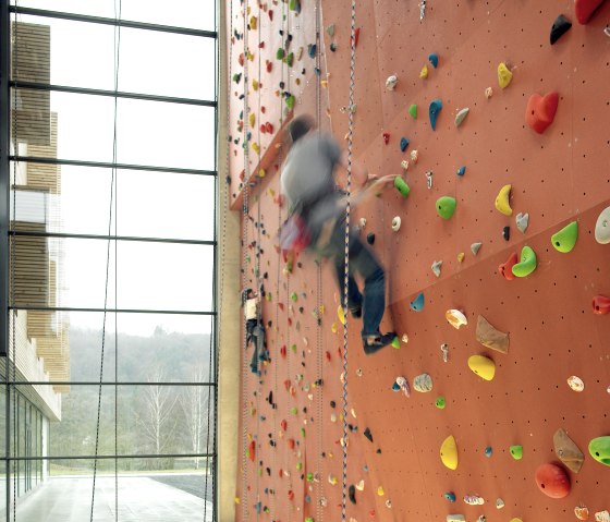 kletterpark-2, &copy; Youth Hostel Echternach