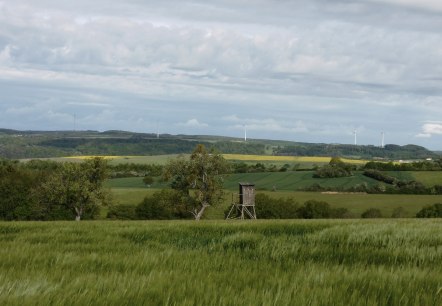 Hérisson 2, © Deutsch-Luxemburgische Tourist-Information
