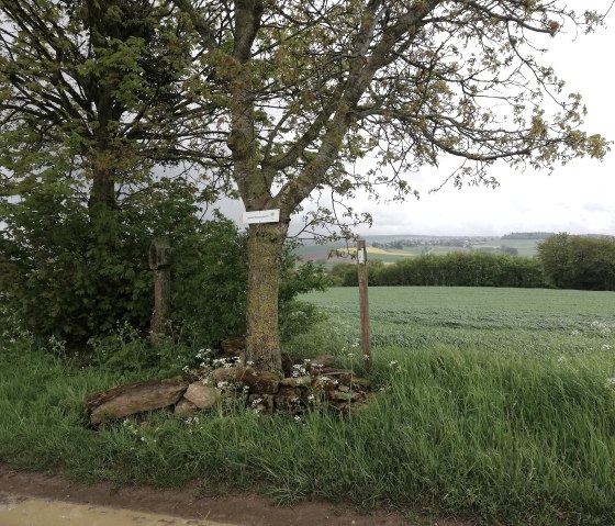 Schilzenburg 12, &copy; Nicole Zimmer