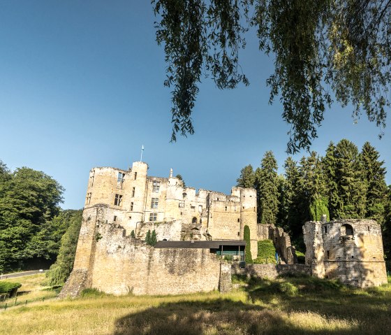 De Beaufort ru&iuml;nes in Luxemburg liggen majestueus onder een strakblauwe hemel, omringd door weelderig groen en bomen., &copy; Eifel Tourismus, Dominik Ketz