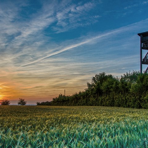 Rodt observation tower, &copy; Deutsch Luxemburgische Tourist Info