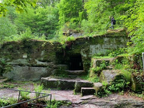 Ein bewaldeter Bereich mit grünen Pflanzen und Felsen. Im Hintergrund ist eine Höhle oder ein Tunnel sichtbar.