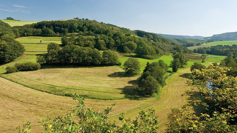 Landschaft in der Eifel mit grünen Wiesen und bewaldeten Hügeln unter blauem Himmel.