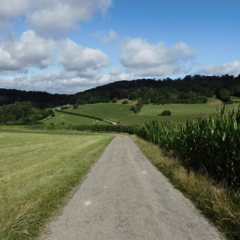 Auto-p&eacute;destre Rosport, &copy; Deutsch-Luxemburgische Tourist Information