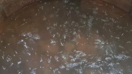 Blubbernde Victoriaquelle, &copy; Tourist Information Wittlich Stadt & Land