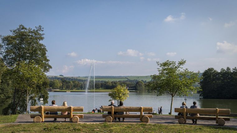 Ein schöner Park mit Blick auf einen See. Menschen sitzen auf Bänken und genießen die Ruhe in der Natur.