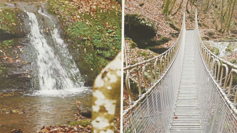 Ein kleiner Wasserfall fließt über moosbedeckte Steine in einem Wald. Eine schmale Hängebrücke verbindet zwei Seiten eines klaren Baches.