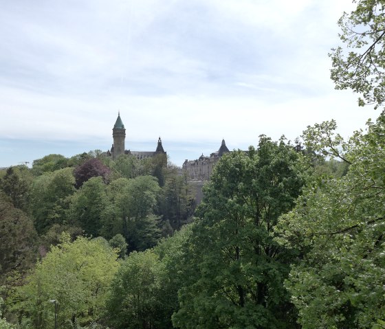 plateau-bourbon-2nicole-kamer, © Nicole Zimmer