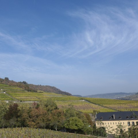 p1070757, © Nicole Zimmer