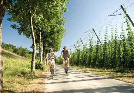 Fietsers op het Prüm fietspad, © Dominik Ketz Fotografie / Rheinland-Pfalz Tourismus GmbH
