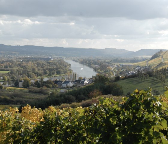 moselle-12, © Deutsch Luxemburgische Tourist Info