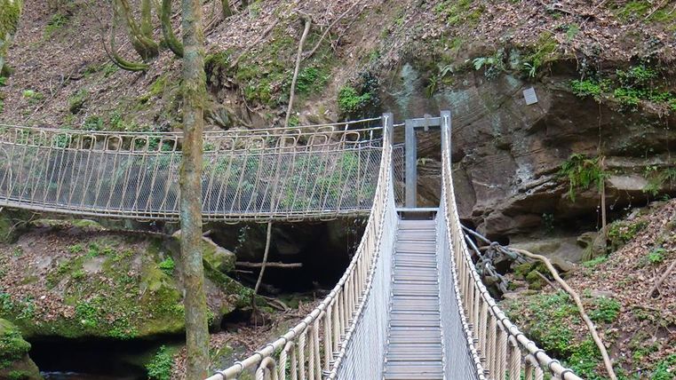 Un pont suspendu étroit au-dessus d'un petit ruisseau, entouré de rochers escarpés et de végétation verte. Le sol est recouvert de feuilles, ce qui souligne l'environnement naturel.