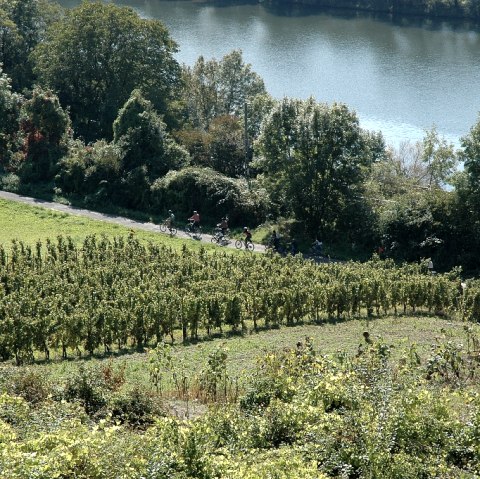 mosel-wein-kl, © Deutsch Luxemburgisches Tourist Info