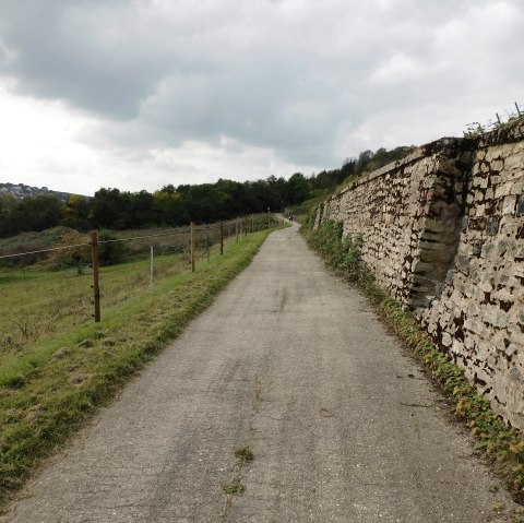 Egel 5, &copy; Nicole Zimmer