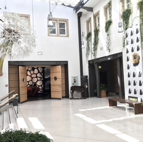 naturmuseum-copyright-mnhn, &copy; MNHNL