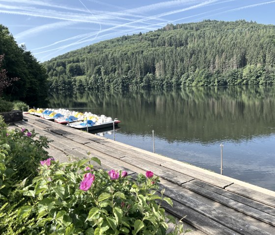 Des pédalos au bord du lac de barrage de Bitburg, entourés de collines verdoyantes et de fleurs épanouies au premier plan. Le ciel est bleu avec des traînées de condensation., © TI Bitburger Land