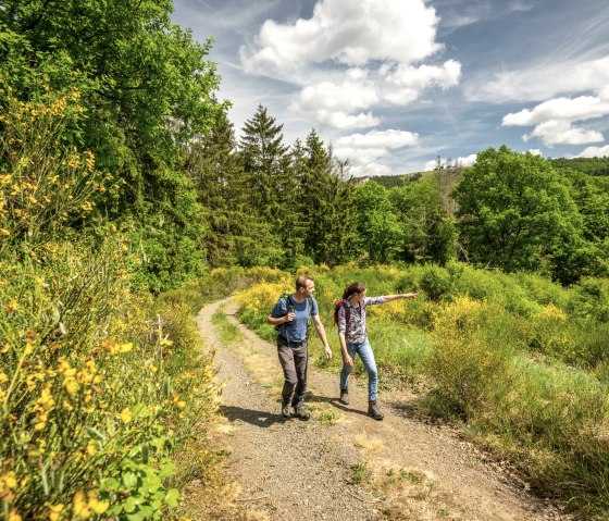 Zwei Wanderer auf einem Pfad in einer gr&uuml;nen Landschaft mit gelben Blumen und B&auml;umen unter blauem Himmel., &copy; Eifel Tourismus GmbH, Dominik Ketz