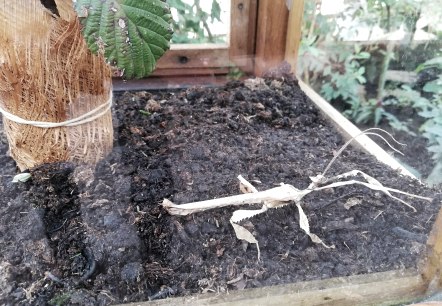 Paiperlek, © Deutsch-Luxemburgische Tourist-Information