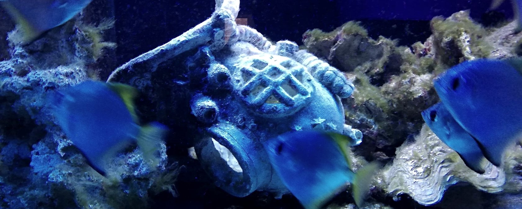 Aquarium, © Deutsch Luxemburgische Tourist Info