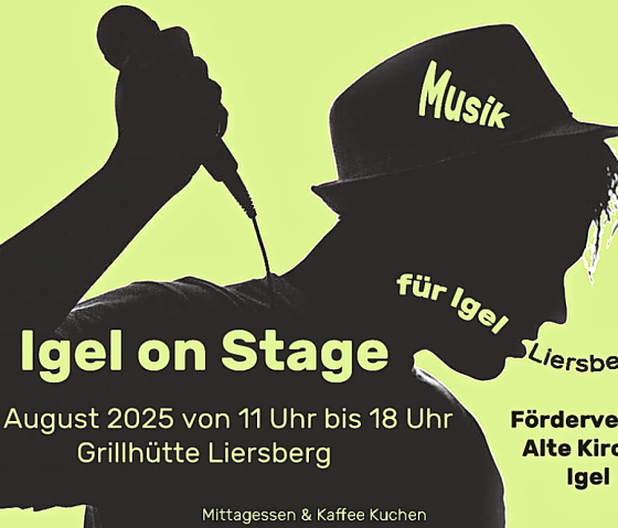 Igel on Stage, © FV Alte Kirche