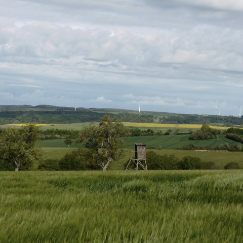 Hérisson 2, © Deutsch-Luxemburgische Tourist-Information