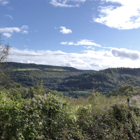 wandelen-langzaam-water-goedkoop-29, &copy; Deutsch Luxemburgische Tourist Info