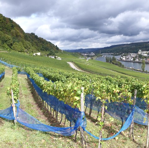 Grevenmacher, &copy; Deutsch Luxemburgische Tourist Info