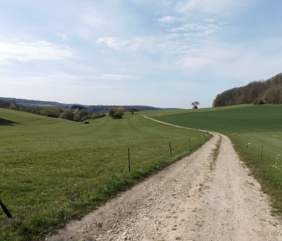 Mesenich, &copy; Deutsch Luxemburgische Tourist Info