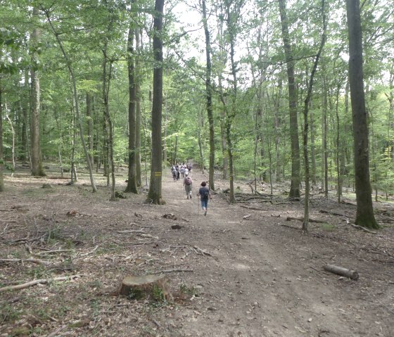 mertert-wanderwoche-24_08_18-4, &copy; Deutsch Luxemburgische Tourist Info