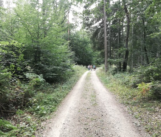 wanderwoche-zemmer-2018-6, &copy; Deutsch Luxemburgische Tourist Info