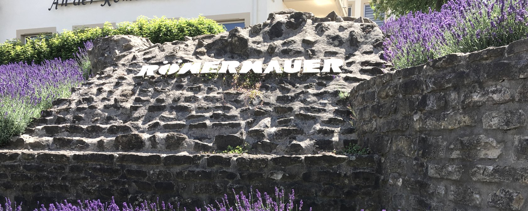 Romeinse muur met lavendel, © TI Bitburger Land