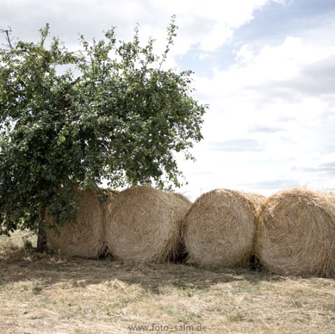 haybale_1, © Deutsch Luxemburgische Tourist Info
