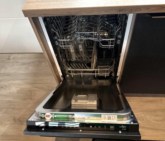 Sp&uuml;llmaschine, &copy; Lames