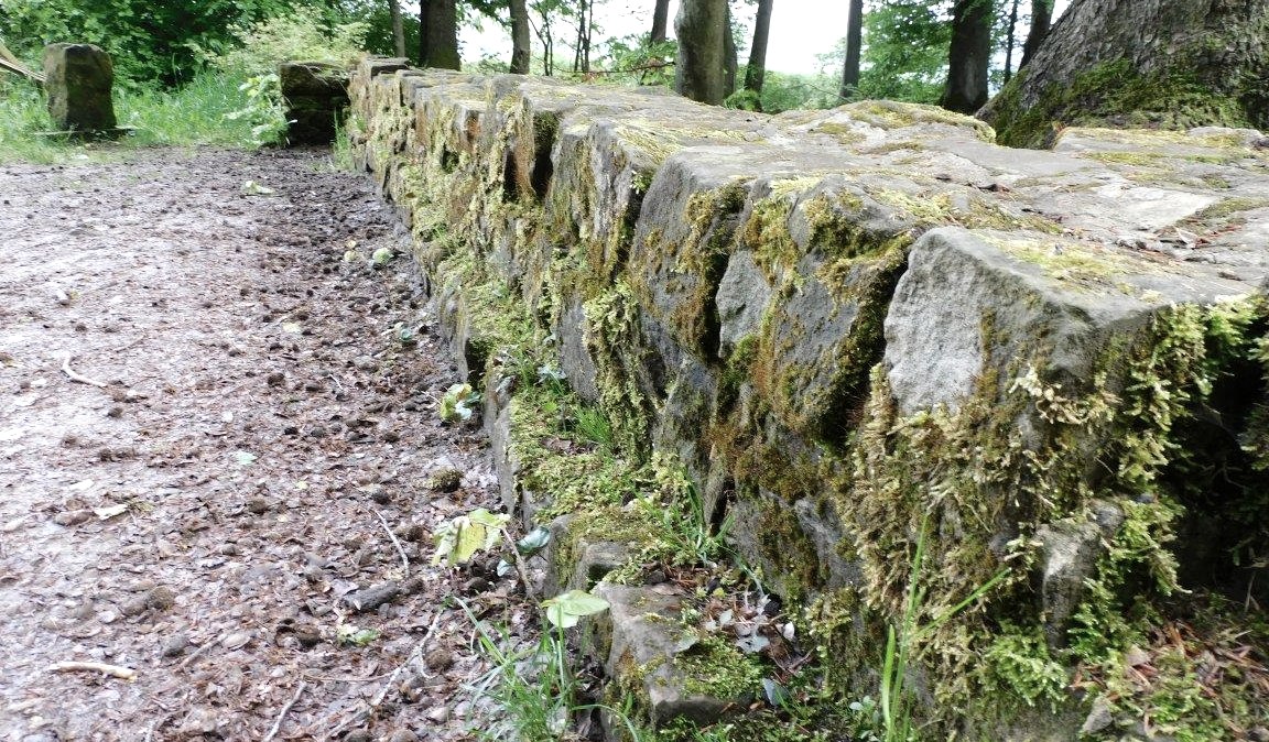 Römische Langmauer 2, © Nicole Zimmer