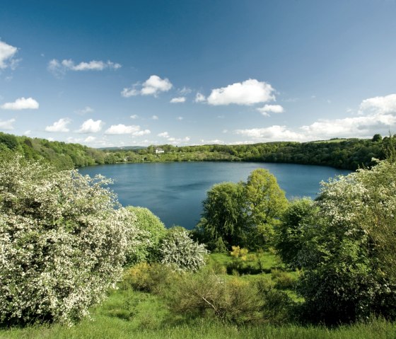 Eifelsteig, Weinfelder Maar in spring, © Rheinland-PfalzTourismus GmbH - Dominik Ketz