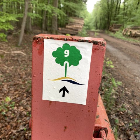 Logo Wanderweg Hofweiler, &copy; Nicole Zimmer