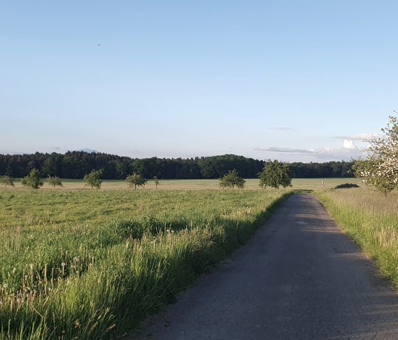 Schönfelderhof 5, © RLP