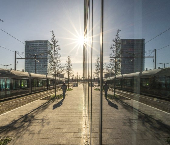 Lux2, &copy; Nicole Zimmer