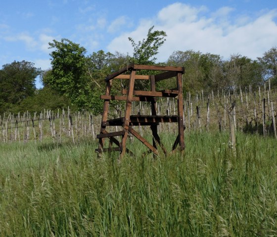 Hérisson 2, © Deutsch-Luxemburgische Tourist-Information