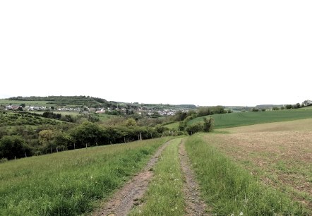 Schilzenburg 12, &copy; Nicole Zimmer