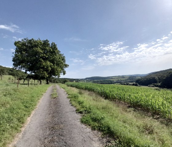 Mertert 2, &copy; Deutsch-Luxemburgische Tourist Info