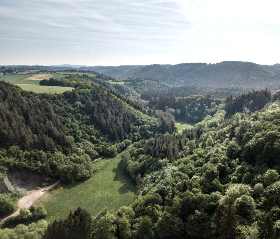 Etape 14 de l'Eifelsteig : vue sur la vallée de Salm, © Eifel Tourismus GmbH, D. Ketz