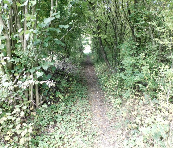 Moehn, &copy; Nicole Zimmer