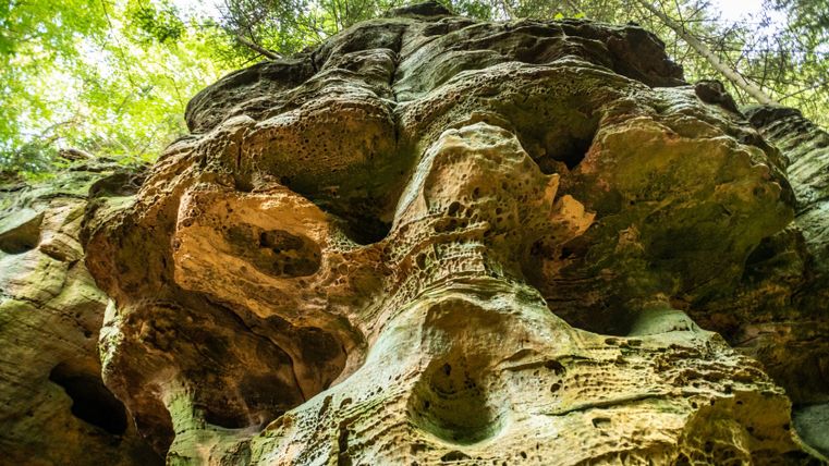 Nahaufnahme von verwitterten Felsen mit Löchern und Rillen, umgeben von Bäumen.