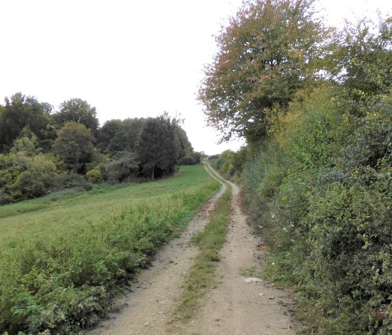 Moehn, © Nicole Zimmer