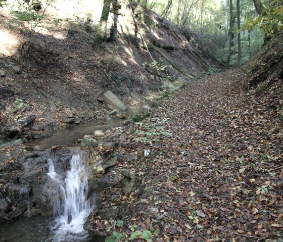 Parc naturel Südeifel 70, © Reinhold Hansen