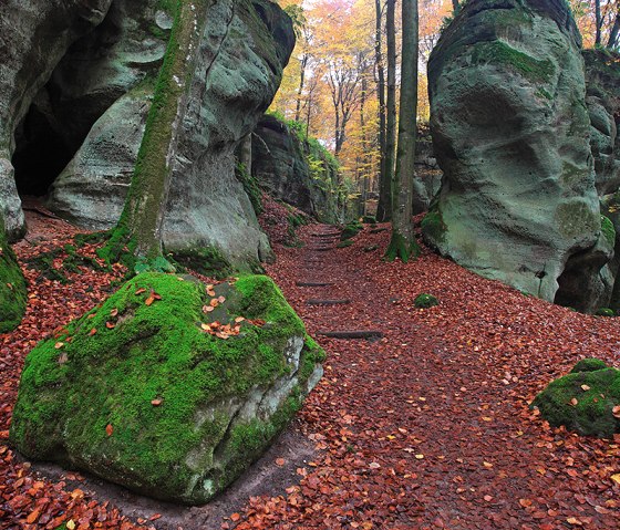 Ein Waldweg mit moosbedeckten Felsen, umgeben von herbstlichem Laub und Bäumen. Der Weg führt durch eine malerische, natürliche Landschaft., © Naturpark Südeifel, C. Schleder